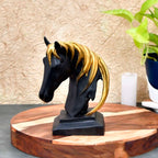 BLACK HORSE FACE
