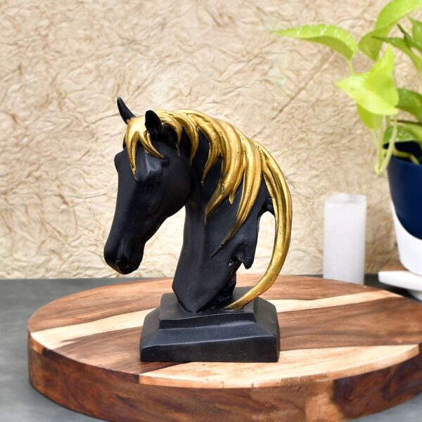 BLACK HORSE FACE