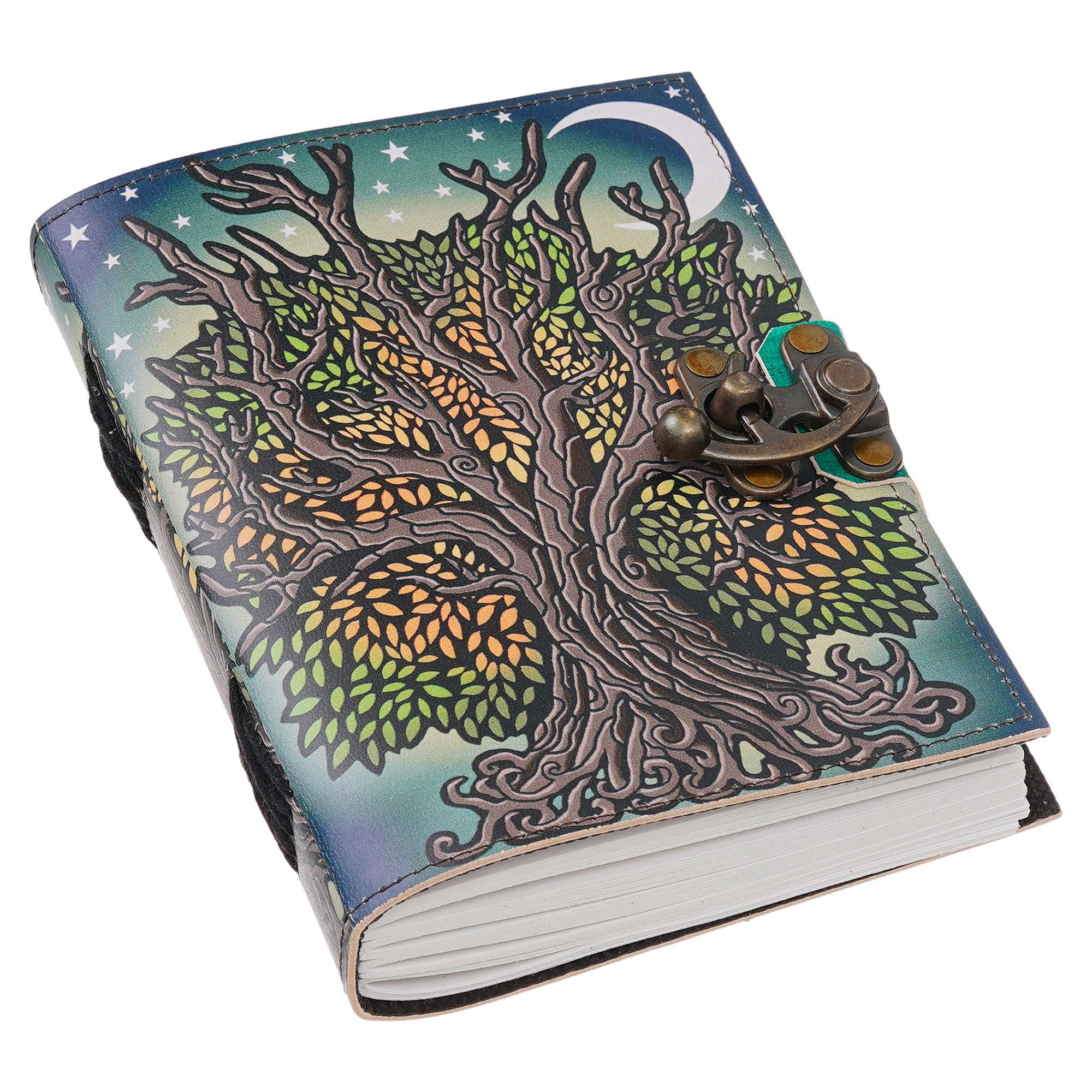 The Dreaming Tree Diary