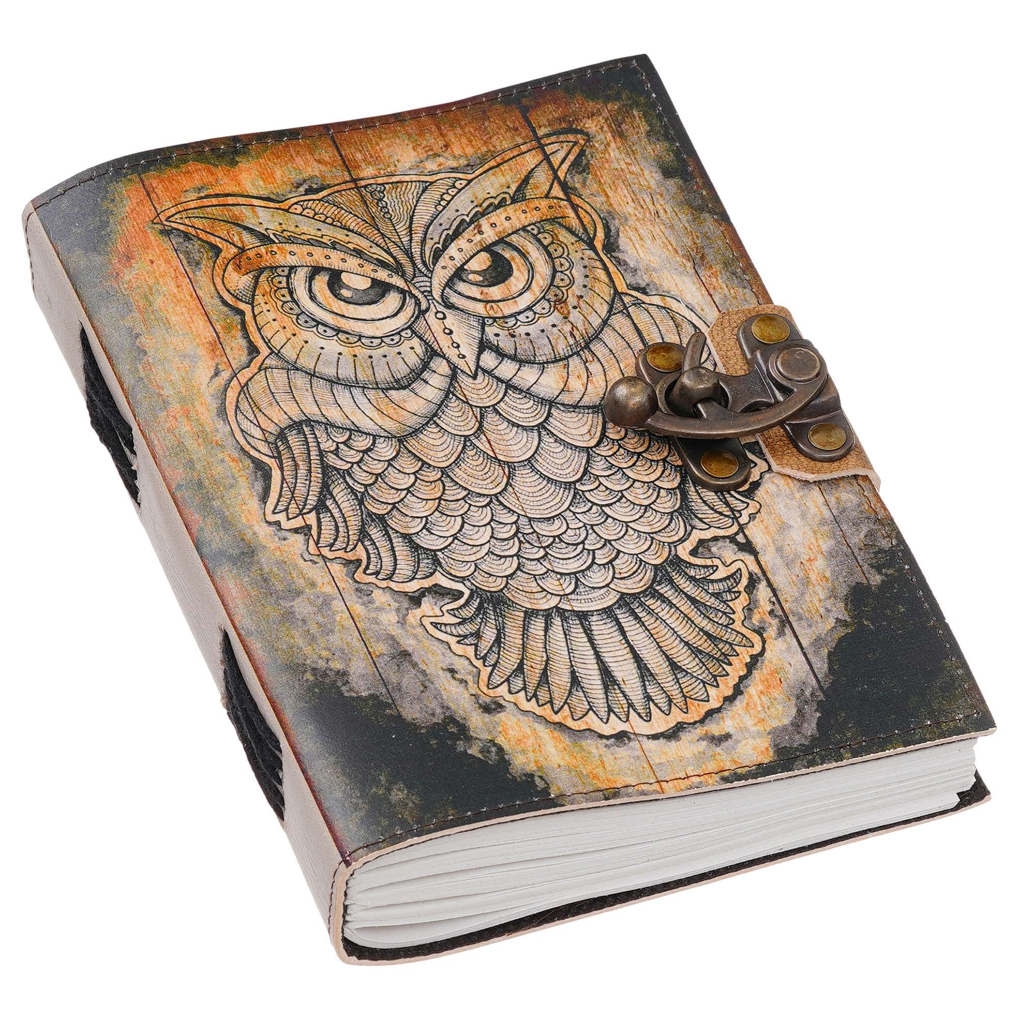 Chronicles of the Nightwatcher Diary