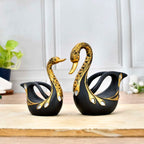 SWAN